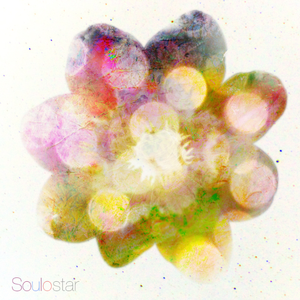 亚洲国AV产品马无码久久久卡不群魔乱舞
